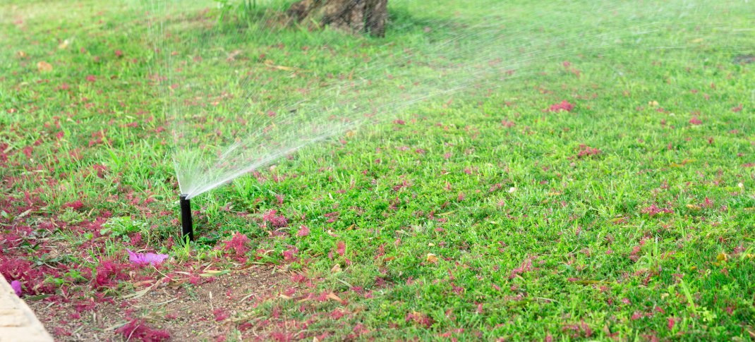Are you wasting money while watering your lawn?